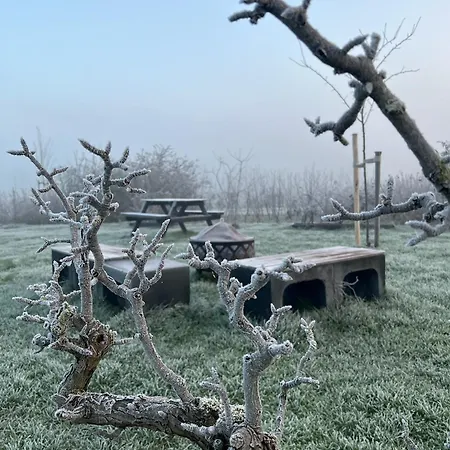 Droom Aan De Linge Wadenoijen
