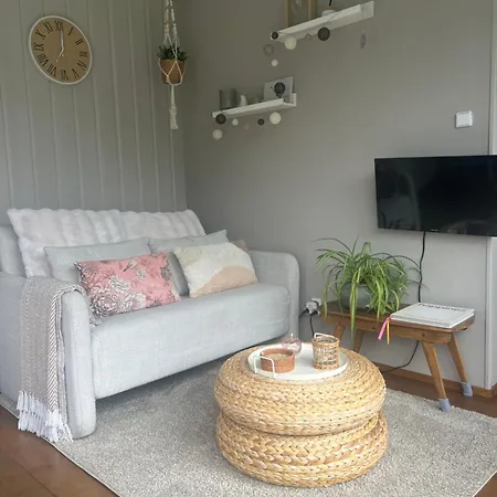 住宿加早餐酒店 Tiny House Droom Aan De Linge Wadenoijen