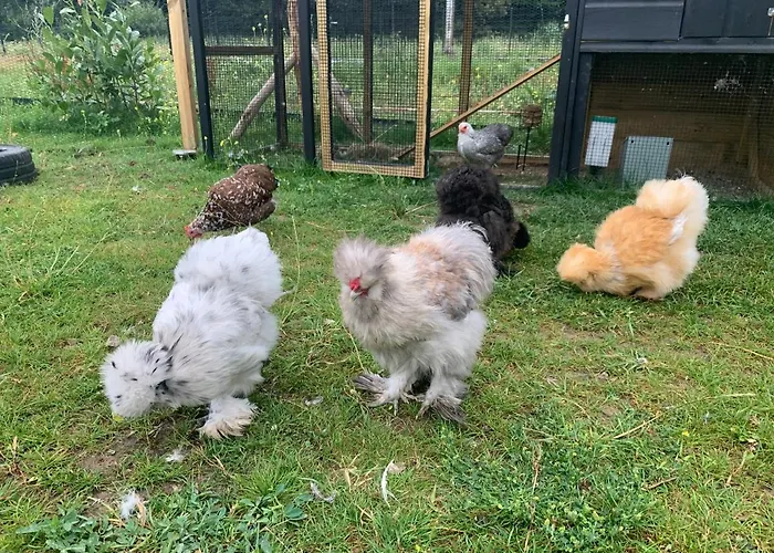 Droom Aan De Linge Bed & Breakfast 3*