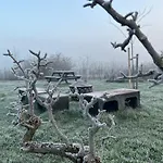 Tiny House Droom Aan De Linge Wadenoijen