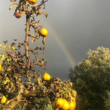 Droom Aan De Linge ベッド・アンド・ブレックファスト 3*