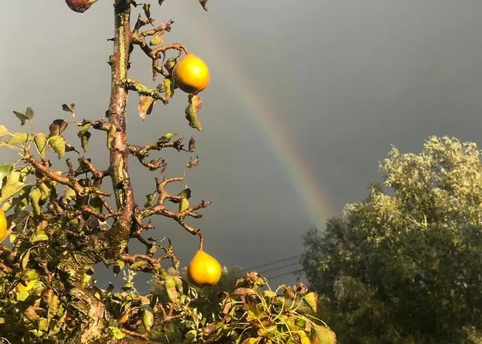 Droom Aan De Linge Panzió 3*