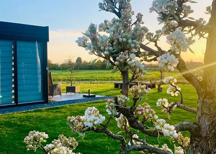 Droom Aan De Linge 3* Wadenoijen