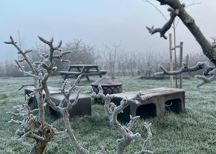 Droom Aan De Linge Wadenoijen